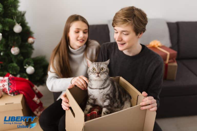 Cat in moving box