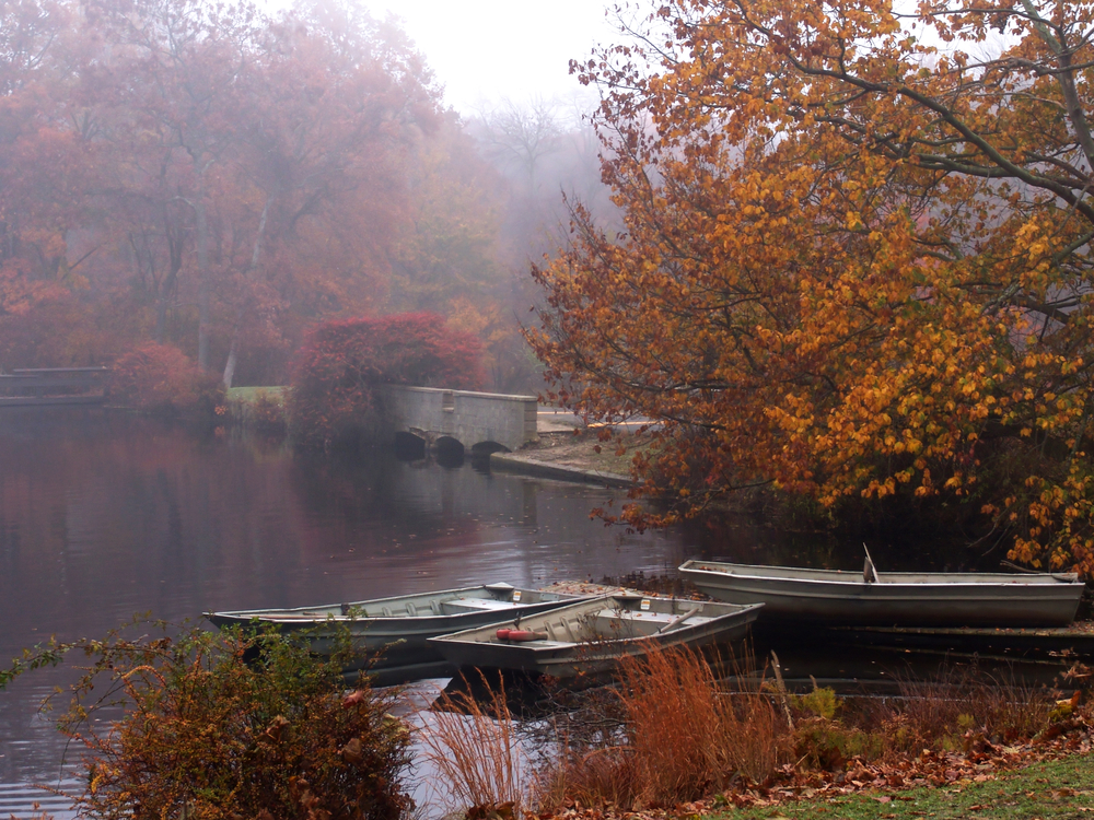 Bohemia long island